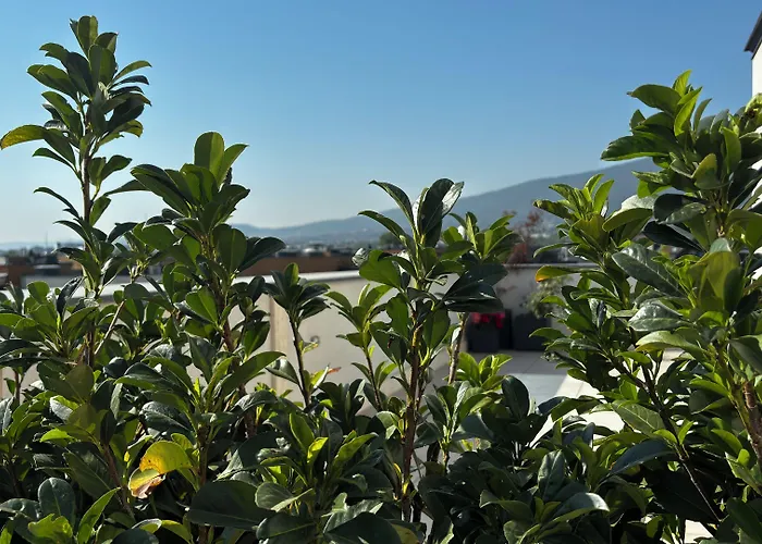 Hotel Blue Star Luxury