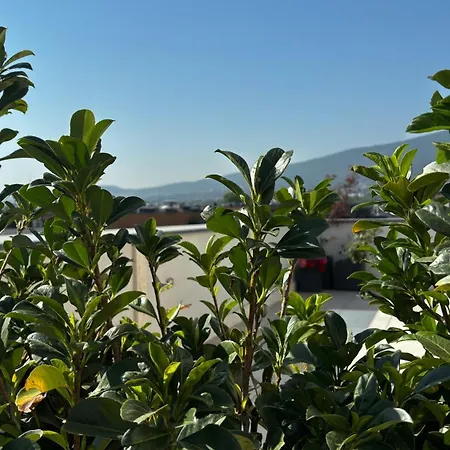 Hotell Blue Star Luxury