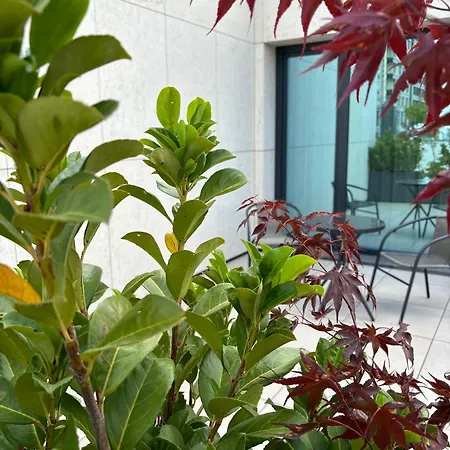 Blue Star Luxury Ξενοδοχείο 4*
