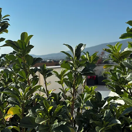 Hotel Blue Star Luxury