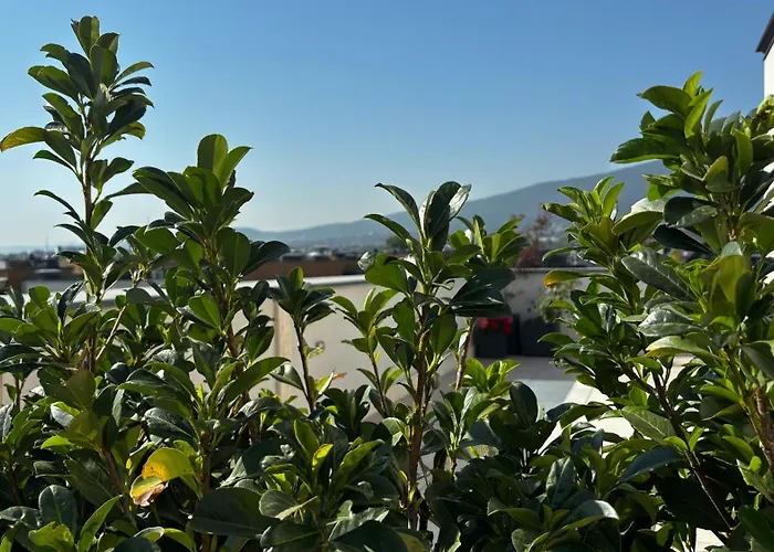 Хотел Blue Star Luxury