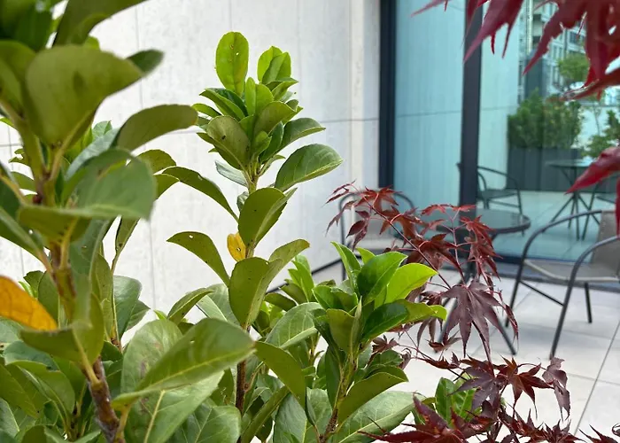 Blue Star Luxury Hotel 4*